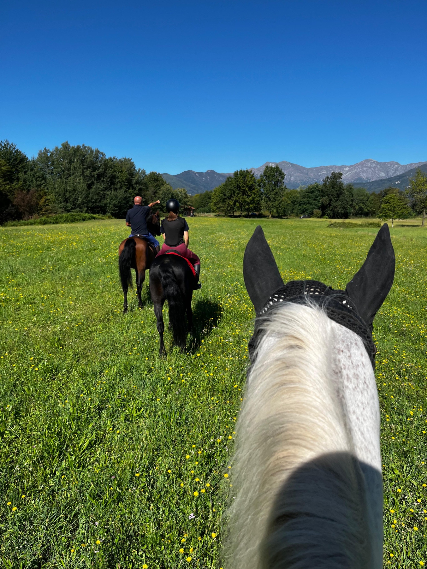 Passeggiata a cavallo nei prati con vista sulle montagne